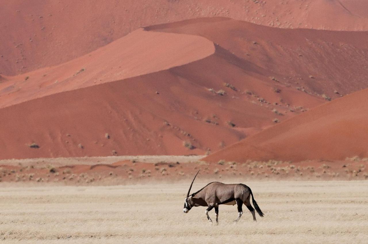Wilderness Safaris Kulala Desert Lodge Sesriem Bagian luar foto