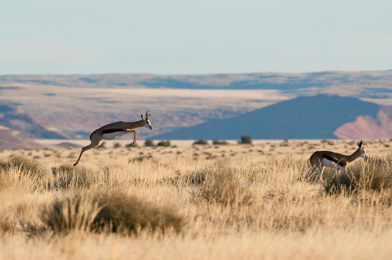 Wilderness Safaris Kulala Desert Lodge Sesriem Bagian luar foto