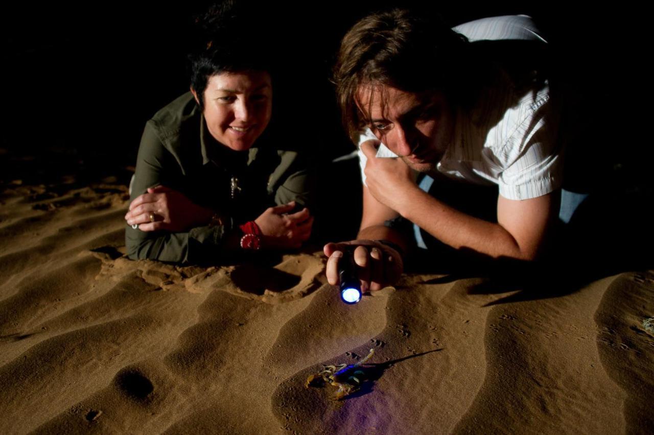 Wilderness Safaris Kulala Desert Lodge Sesriem Bagian luar foto