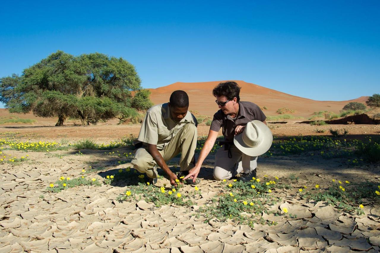 Wilderness Safaris Kulala Desert Lodge Sesriem Bagian luar foto